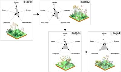 Ecosystem Coupling and Ecosystem Multifunctionality May Evaluate the Plant Succession Induced by Grazing in Alpine Meadow